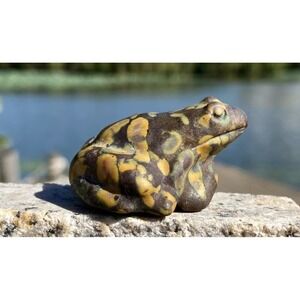 Fruit Jasper Stone Frog Figurine Carved Animal Sculpture‎ Decor
